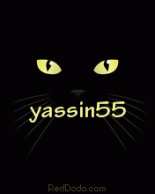   yassin55